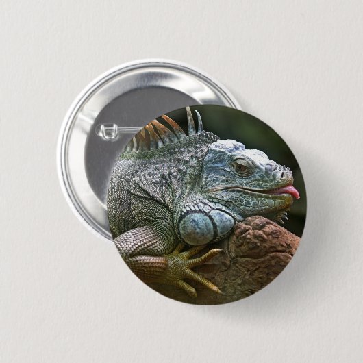 Leguanknöpfe Button (Vorne & Hinten)