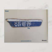 Leguansand-Skulpturpostkarte Postkarte (Rückseite)