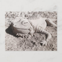 Leguansand-Skulpturpostkarte