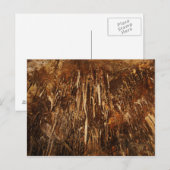 Lehman Cave Postkarte (Vorne/Hinten)