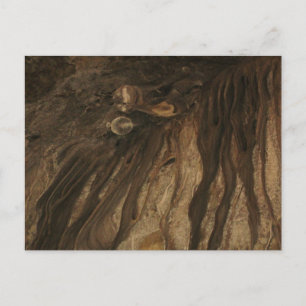 Lehman Caves Postkarte