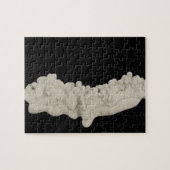 LehmConcretion Puzzle (Horizontal)