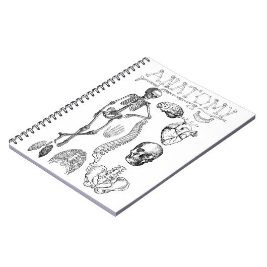 Lehrbuch zur menschlichen Anatomie für Hinweise Notizblock (Linke Seite)