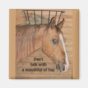 Lehren aus der Mama - Magnet