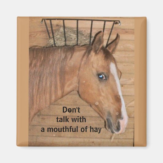 Lehren aus der Mama - Magnet (Vorne)