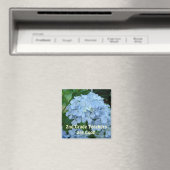 Lehrer der zweiten Klasse sind Cool! Magnete Gesch Magnet (In Situ (Geschirrspüler))