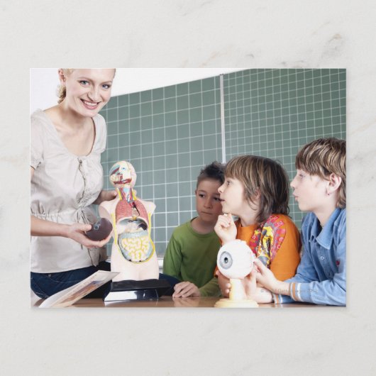 Lehrer, die dem Menschen das Modell des menschlich Postkarte (Vorderseite)