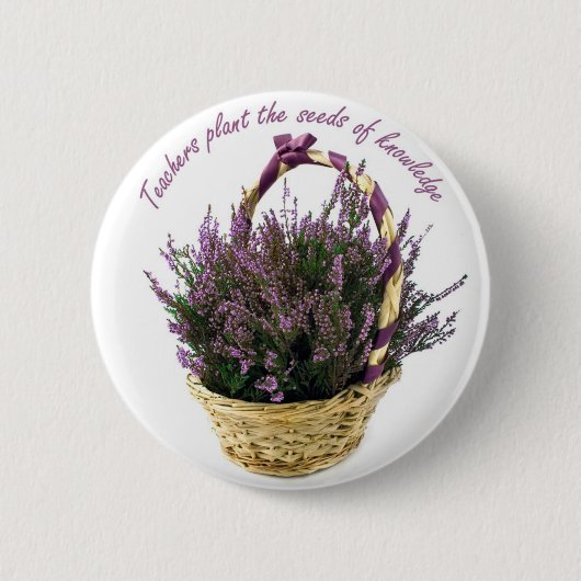 Lehrer Pflanze Seeds Lavender Button (Vorderseite)