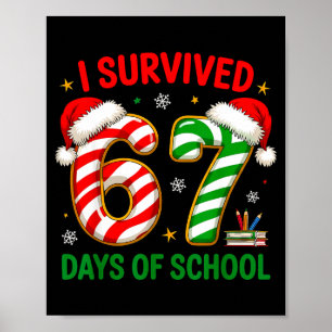 Lehrer Weihnachten Lustiges Meme Ich überlebte 67  Poster