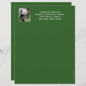 Lehrerbewertungsstelle, Panda, grüner Trim Briefkopf (Vorne/Hinten)