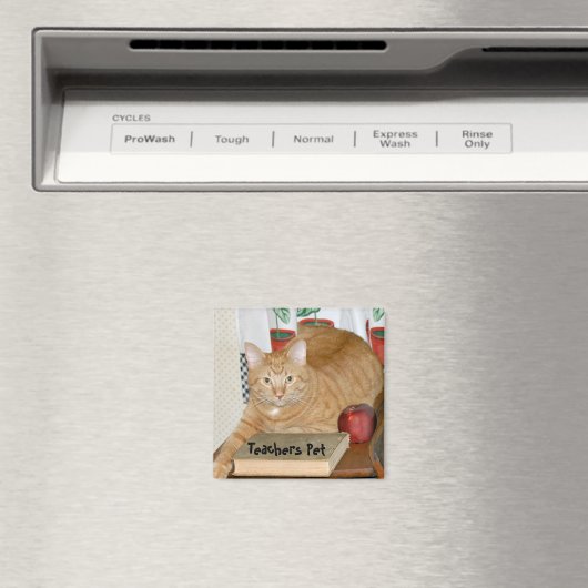 Lehrerin Magnet (In Situ (Geschirrspüler))