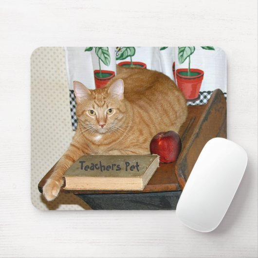 Lehrerin Mousepad (Mit Mouse)