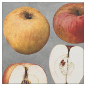 Lehrerin Rote Goldene Äpfel Stoff (Nahaufnahme)