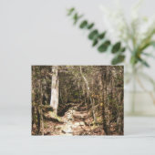 Lehrpfad Pennsylvania Postkarte (Stehend Vorderseite)