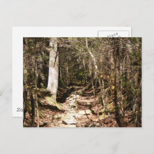 Lehrpfad Pennsylvania Postkarte (Vorne/Hinten)