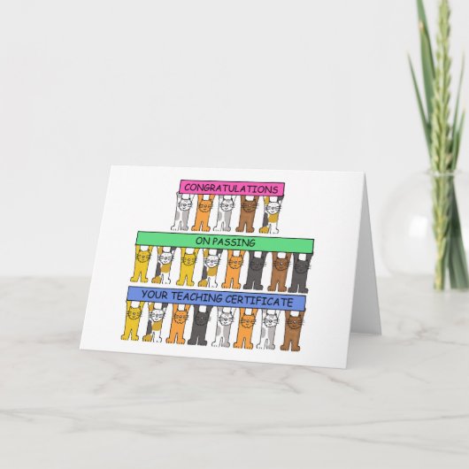 Lehrzertifikat Glückwunsch, Niedliche Katzen. Karte (Vorderseite)