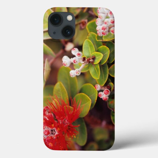 Lehua blüht in den Vulkanen Hawaiis Case-Mate iPhone Hülle (Rückseite)