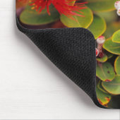 Lehua blüht in den Vulkanen Hawaiis Mousepad (Ecke)