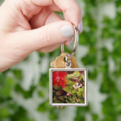 Lehua blüht in den Vulkanen Hawaiis Schlüsselanhänger (Hand)