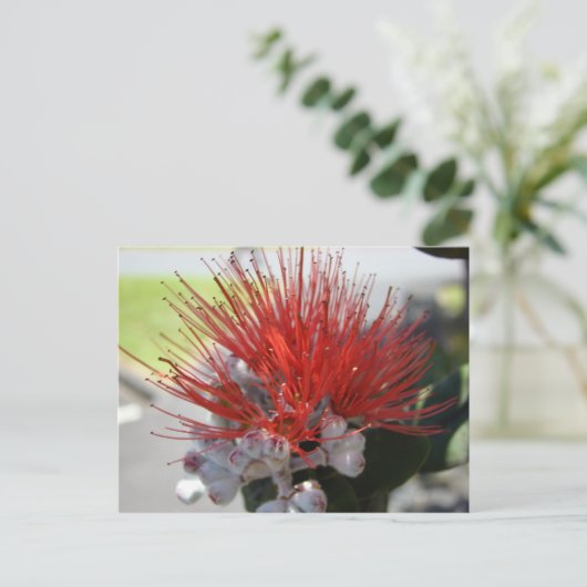 Lehua Postkarte (Stehend Vorderseite)