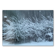 Leicht, Adverb, auf Schnee thematisiert lesen Tasc