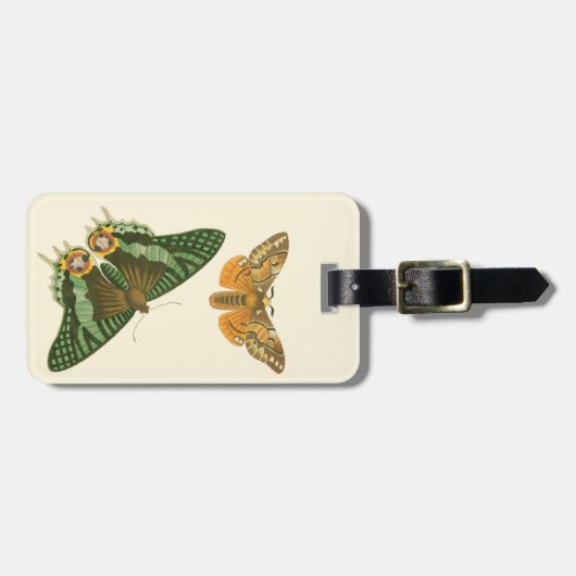 Leicht angrenzende Schmetterlings-Malerei Gepäckanhänger (Vorderseite horizontal)