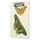 Leicht angrenzende Schmetterlings-Malerei Klemmbrett