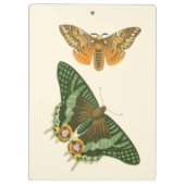 Leicht angrenzende Schmetterlings-Malerei Klemmbrett