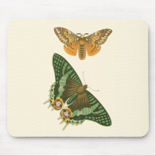 Leicht angrenzende Schmetterlings-Malerei Mousepad