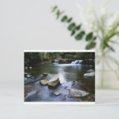 Leicht fließt der Stream. Postkarte (Stehend Vorderseite)