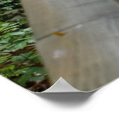 Leicht gebogen poster (Ecke)