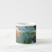 Leicht Mattiertes California Poppy-Foto Espressotasse (Vorderseite)