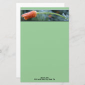 Leicht Mattiertes California Poppy Personalisiert Briefpapier (Vorne/Hinten)