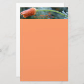 Leicht Mattiertes Kalifornien-Mohn Briefpapier (Vorne/Hinten)