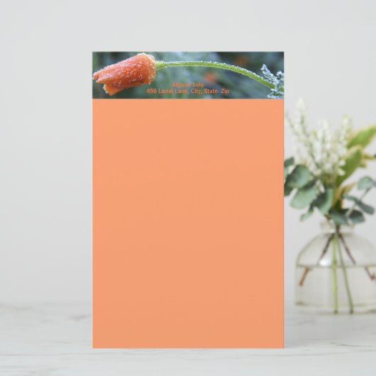 Leicht Mattiertes Kalifornien-Mohn Briefpapier (Stehend Vorderseite)