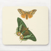 Leicht umgrenzte Schmetterlingsmalerei Mousepad (Vorne)
