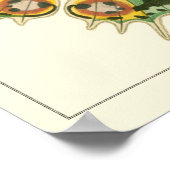 Leicht umgrenzte Schmetterlingsmalerei Poster (Ecke)