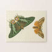 Leicht umgrenzte Schmetterlingsmalerei Puzzle (Horizontal)