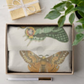 Leicht umgrenzte Schmetterlingsmalerei Seidenpapier (Geschenk)