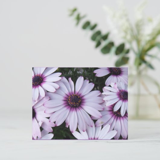 Leicht violette Blumen mit Lila Hintergrund Postkarte (Stehend Vorderseite)