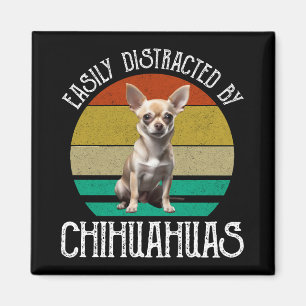 Leicht von Chihuahuas abgelenkt Magnet