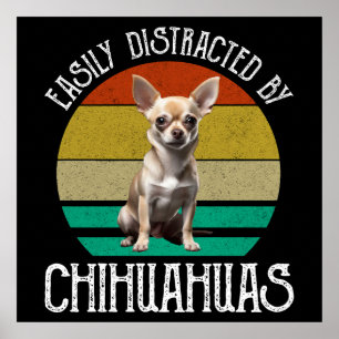 Leicht von Chihuahuas abgelenkt Poster