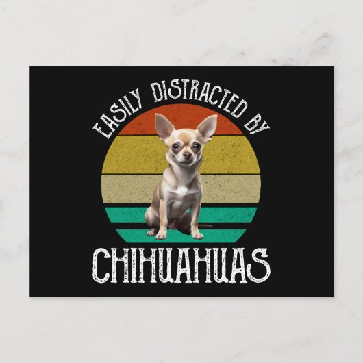 Leicht von Chihuahuas abgelenkt Postkarte (Vorderseite)