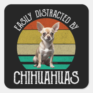 Leicht von Chihuahuas abgelenkt Quadratischer Aufkleber