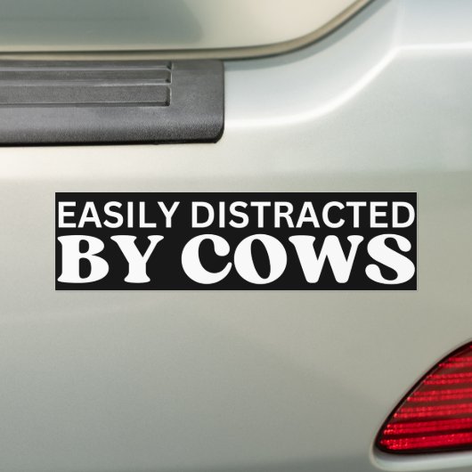 Leicht von Kühen abgelenkt Autoaufkleber (Auf Auto)
