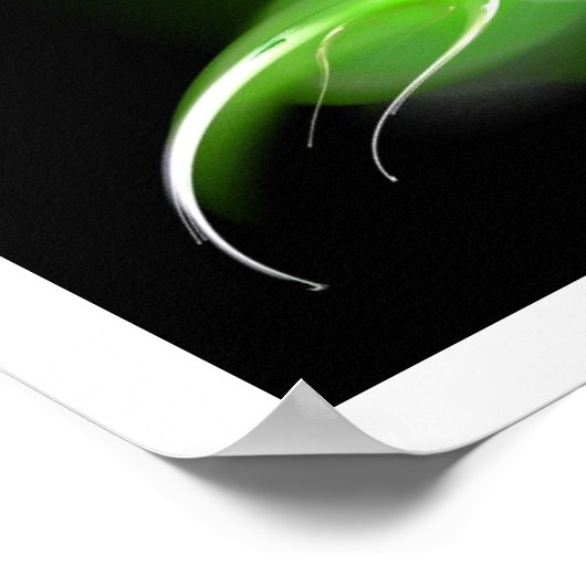 LEICHTE BIRD IN GRÜN POSTER (Ecke)