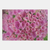 Leichte blaue und rosa Hydrangea Wrapping Paper Sh Geschenkpapier Set (Vorderseite 2)