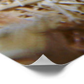 Leichte Cornschlange Poster (Ecke)