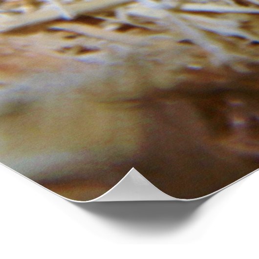 Leichte Cornschlange Poster (Ecke)