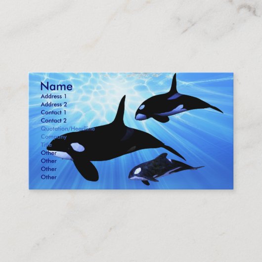 LEICHTE ECHO-GESCHÄFTSKARTE VISITENKARTE (Vorderseite)